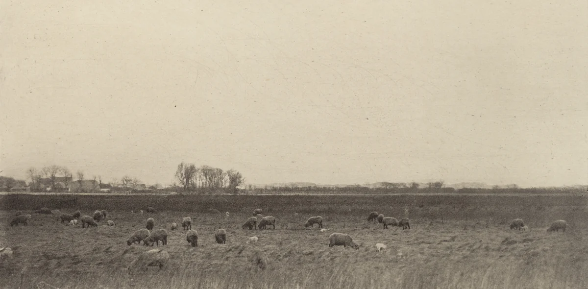 Marshes by the North Sea by Peter Henry Emerson, photograph, 1890-1891