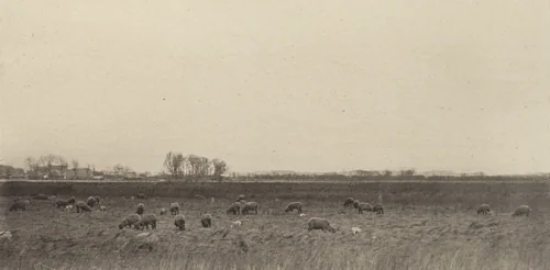 Marshes by the North Sea by Peter Henry Emerson, photograph, 1890-1891