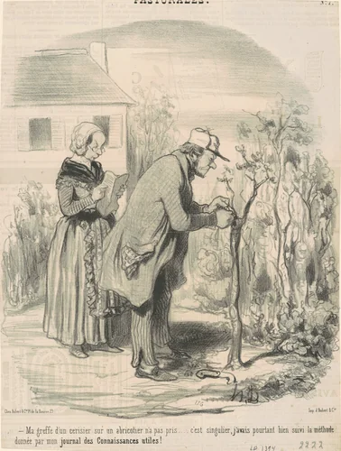 Ma greffe d'un cerisier sur un abricotier n'a pas pris ... by Honoré Daumier, print, 1845