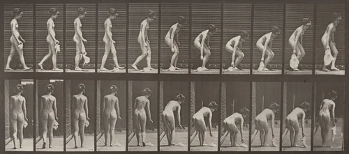 Plate Number 202. Dropping and lifting a handkerchief by Eadweard Muybridge, photograph, 1887