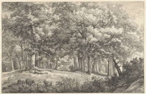 Bosgezicht by Anthonie Waterloo, drawing, 1619-1690