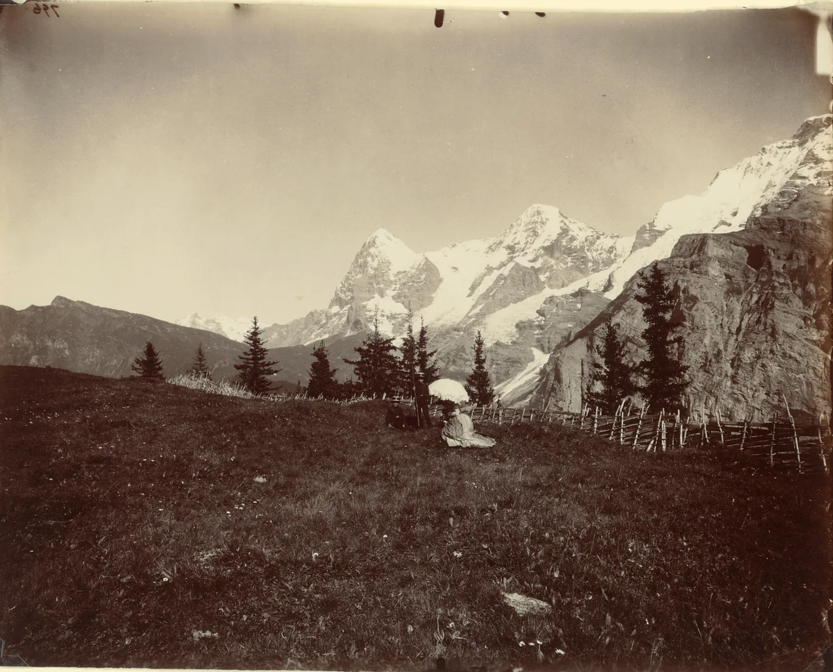 Landscape, Switzerland by Adolphe Braun, photograph, 1855-1865