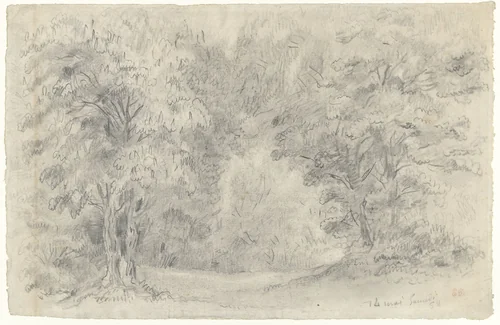 Gezicht in een bos by Eugène Delacroix, drawing, 1858