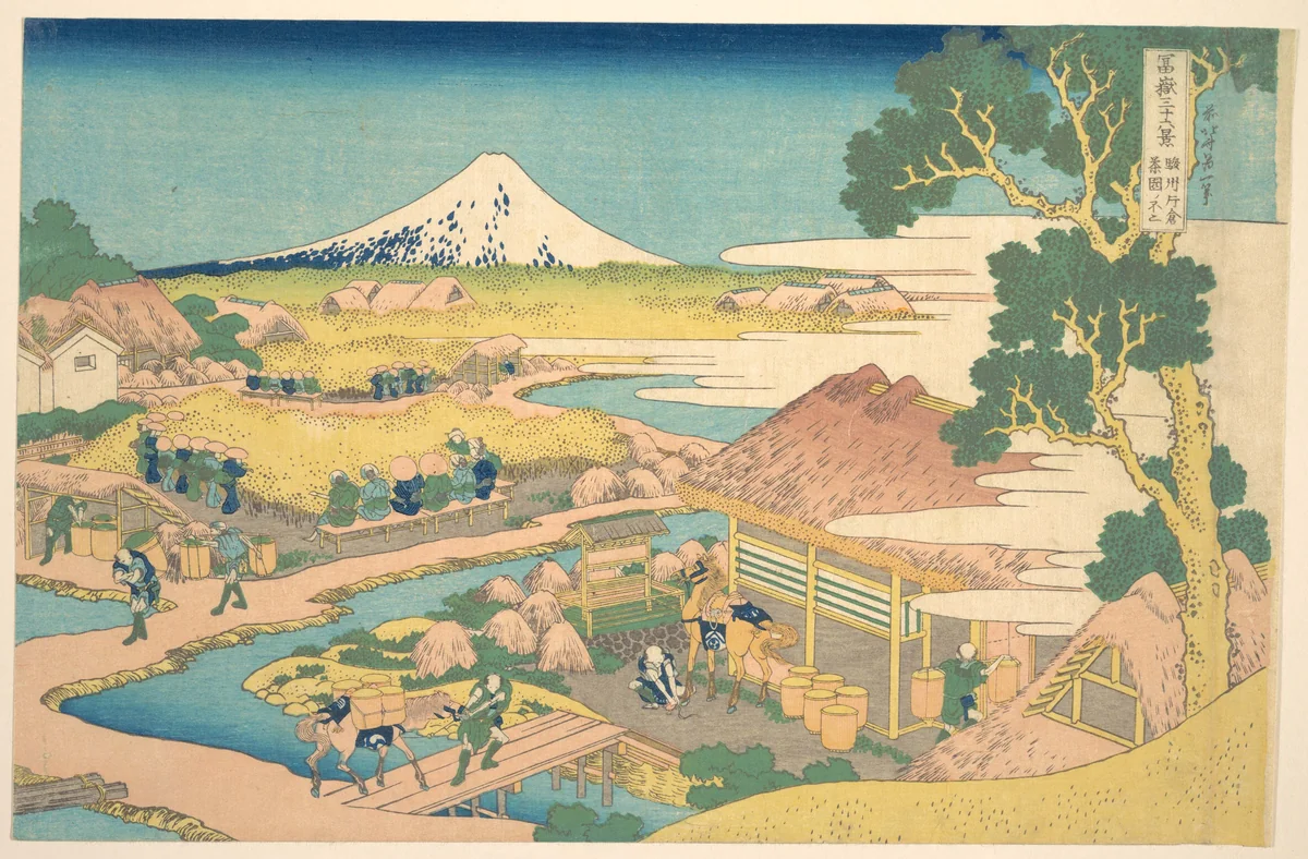 Fuji from the Katakura Tea Fields in Suruga (Sunshū Katakura chaen no Fuji), from the series Thirty-six Views of Mount Fuji (Fugaku sanjūrokkei) by Katsushika Hokusai (葛飾 北斎), print, 1820-1842
