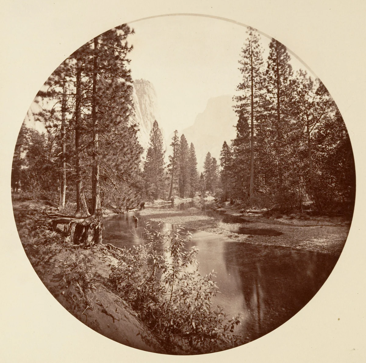 [Yosemite National Park, California] by Carleton E. Watkins, photograph, 1876-1880