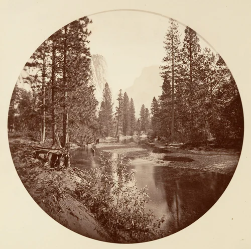 [Yosemite National Park, California] by Carleton E. Watkins, photograph, 1876-1880