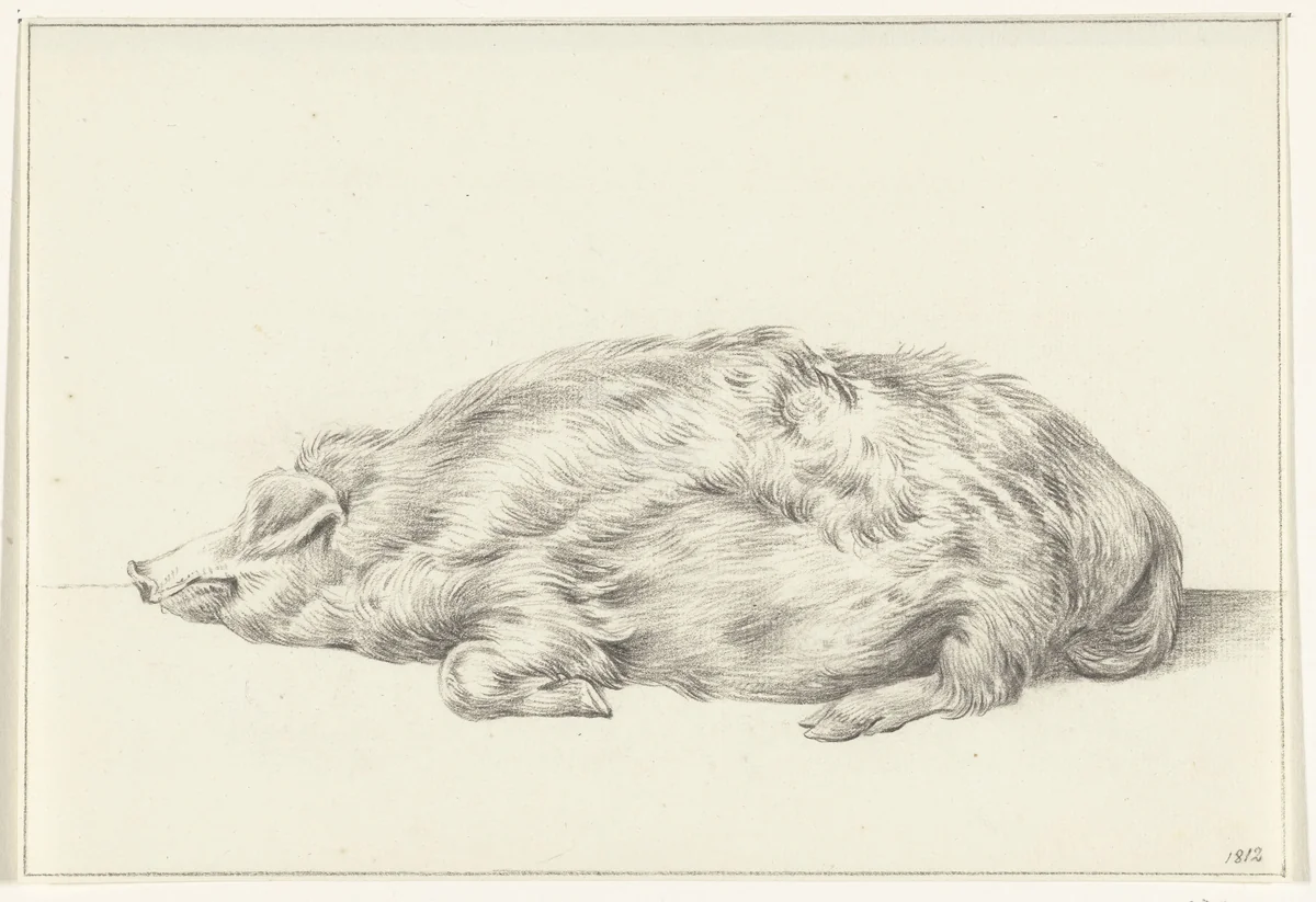 Liggend varken, naar links by Jean Bernard, drawing, 1812