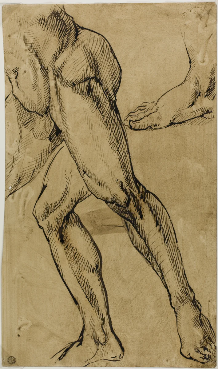 Legs and Feet of Male Nude by Michelangelo Buonarroti, drawing, 1812-1850