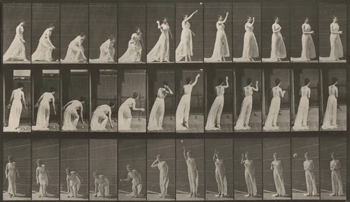 Plate Number 305. Picking up a ball and throwing it by Eadweard Muybridge, photograph, 1887