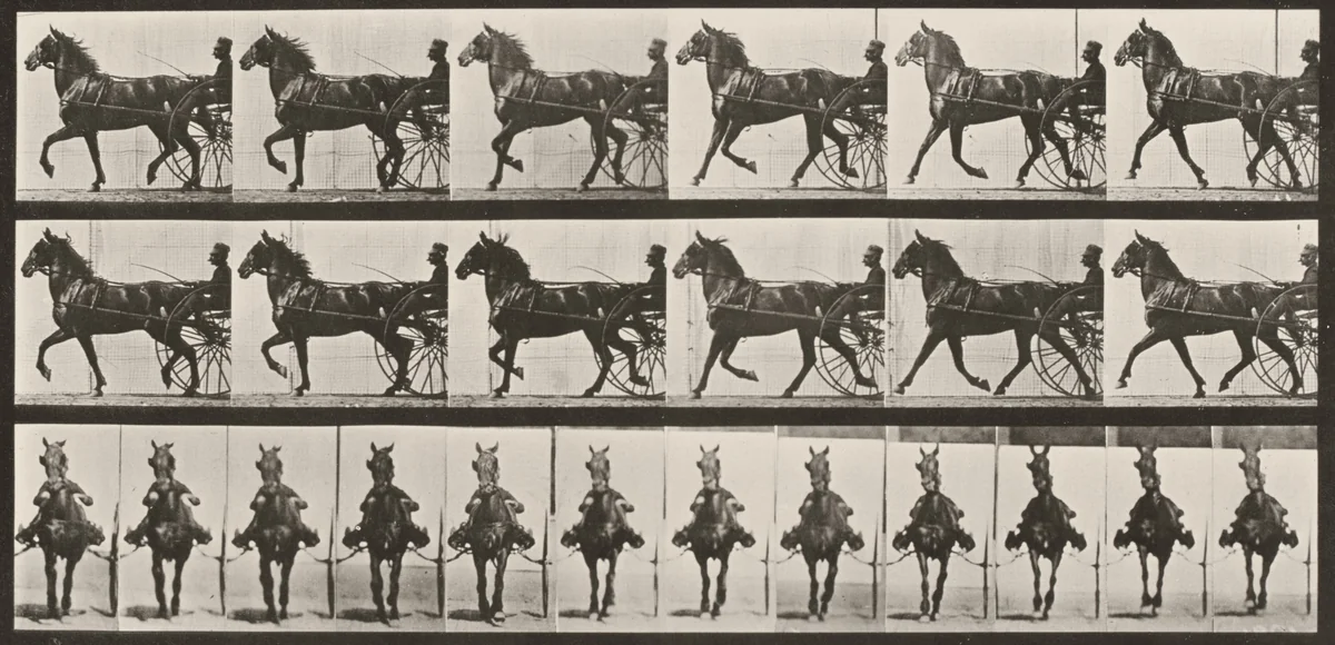 Plate Number 612. "Dercum" trotting, harnessed to sulky by Eadweard Muybridge, photograph, 1887