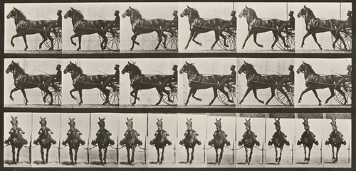 Plate Number 612. "Dercum" trotting, harnessed to sulky by Eadweard Muybridge, photograph, 1887