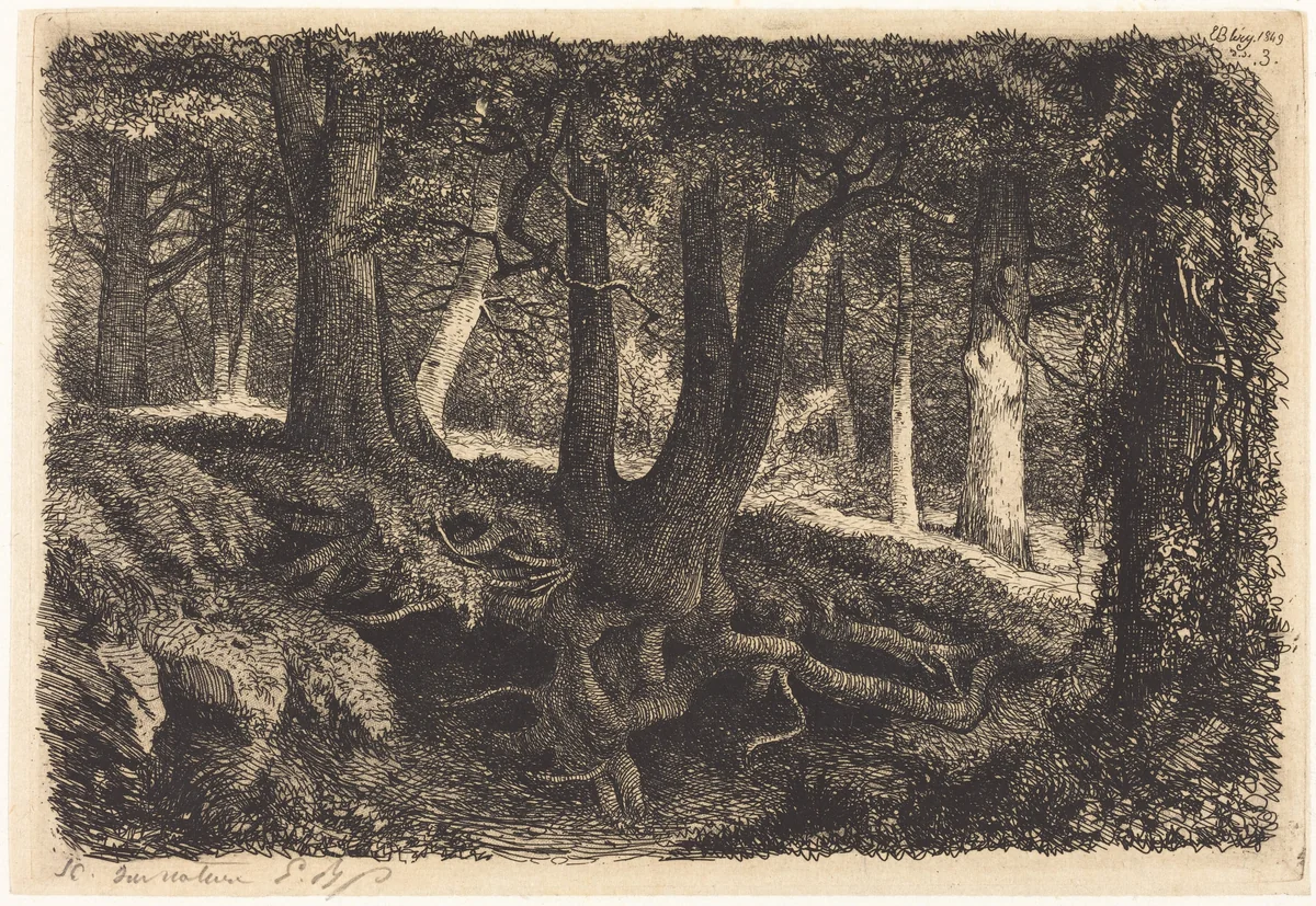 L'arbre aux racines (Tree with Roots) by Eugène Bléry, portfolio, 1849