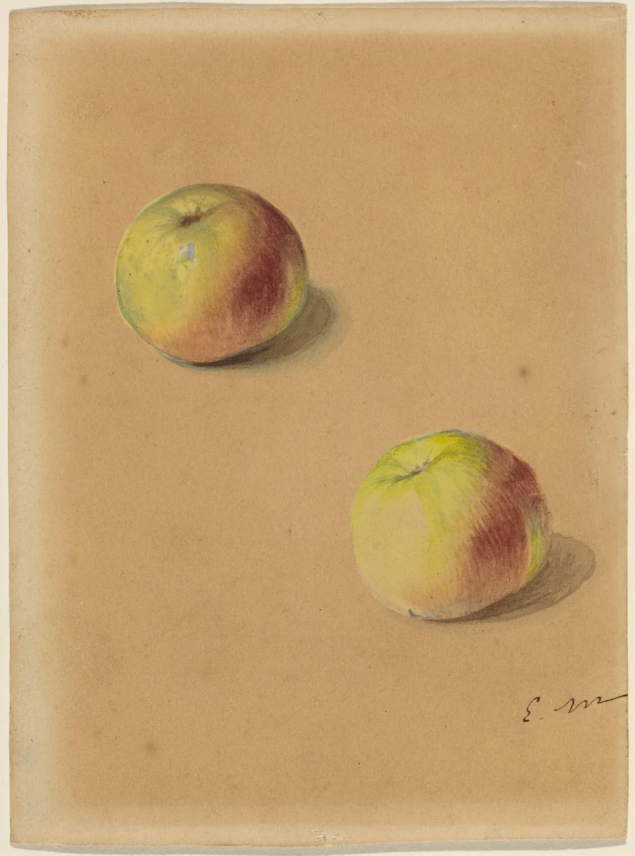 Two Apples by Edouard Manet, drawing, 1880
