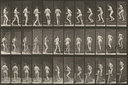 Plate Number 103. Turning and ascending stairs with a pitcher and goblet in hands by Eadweard Muybridge, photograph, 1887