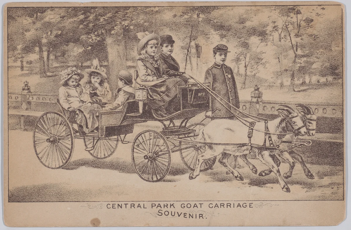 Central Park Goat Carriage (Souvenir Postcard) by anonymous, print, 1889-1899