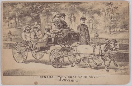 Central Park Goat Carriage (Souvenir Postcard) by anonymous, print, 1889-1899