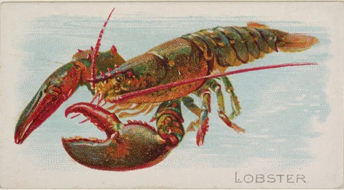 Lobster, from the Fish from American Waters series (N8) for Allen & Ginter Cigarettes Brands by Allen & Ginter, print, 1889