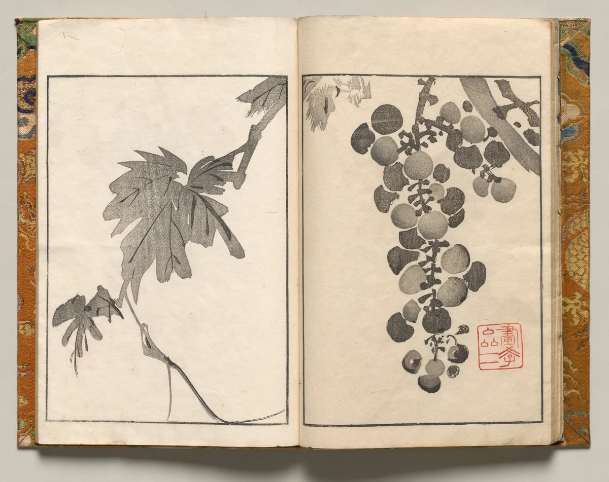 Grapevine, Design Ten from Shazanrō Picture Book by Tani Bunchō (谷文晁), book, 1816