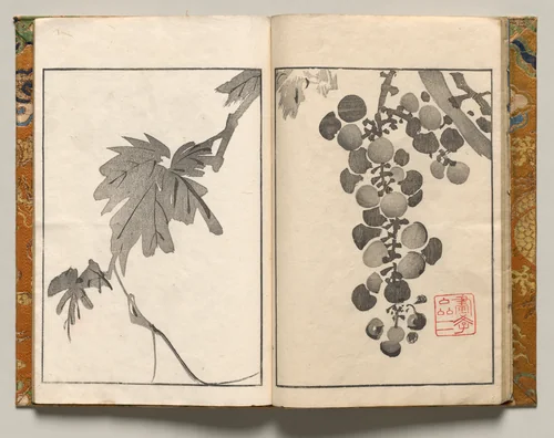 Grapevine, Design Ten from Shazanrō Picture Book by Tani Bunchō (谷文晁), book, 1816
