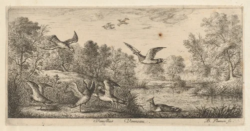 Vanellus, Vanneau (The Lapwing), from "Livre d'Oyseaux" (Book of Birds) by Albert Flamen, print, 1650-1665