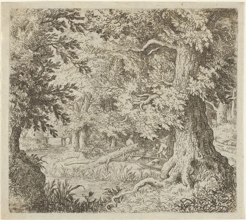 The Brook in the Wood by Allart van Everdingen, print, 1621-1675