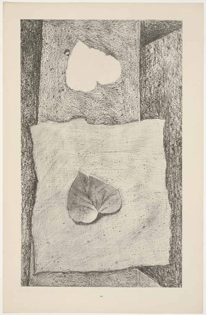 Caesar's Palette (La Palette de César) from Natural History (Histoire naturelle) by Max Ernst, print, 1925