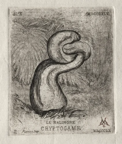 The Sickly Cryptogam by Charles Meryon, print, 1860