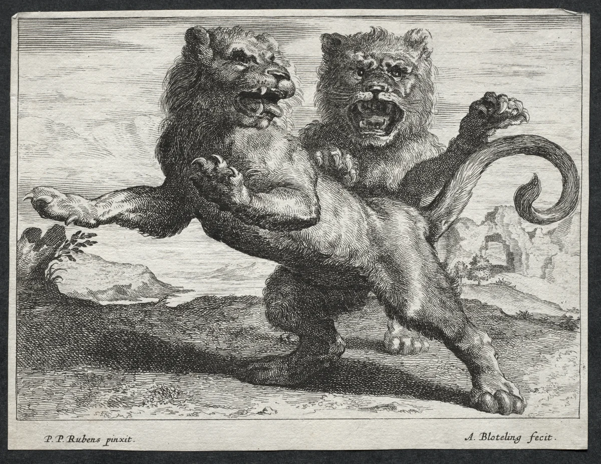 Various Lions by Abraham Blooteling, print, 1655-1690