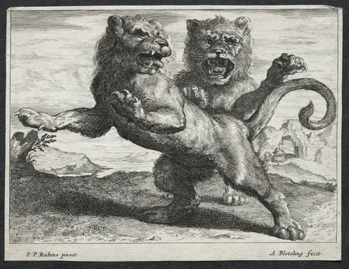 Various Lions by Abraham Blooteling, print, 1655-1690