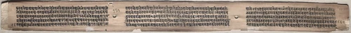 Text, folio 115 (verso) from a Gandavyuha-sutra (Manuscript of the Supreme Array) by Unknown, painting, 1000-1199