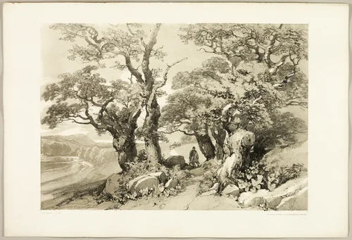 Old Oaks, from The Park and the Forest by James Duffield Harding, print, 1841
