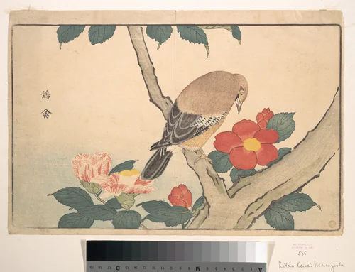 Camellias with a Bird by Kuwagata Keisai (鍬形蕙斎), print, 1789