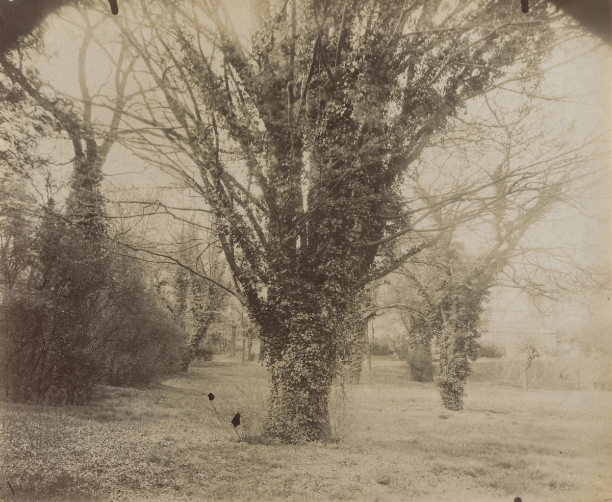 Parc Delessert, 32 Quai de Passy by Eugène Atget, photograph, 1914