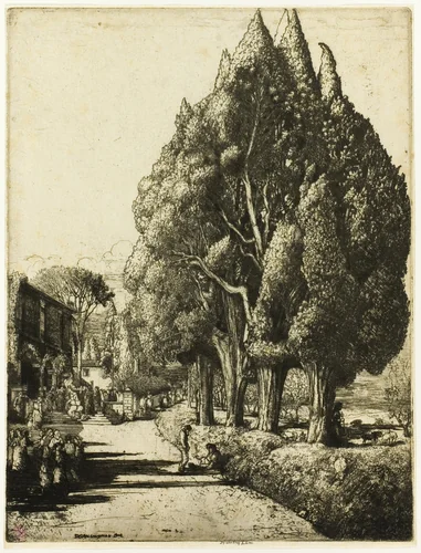 The Cypress Grove by Donald Shaw MacLaughlan, print, 1904