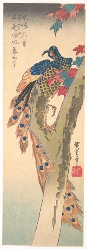 A Peacock Perched on a Maple Tree by Utagawa Hiroshige (歌川広重), print, 1823-1843