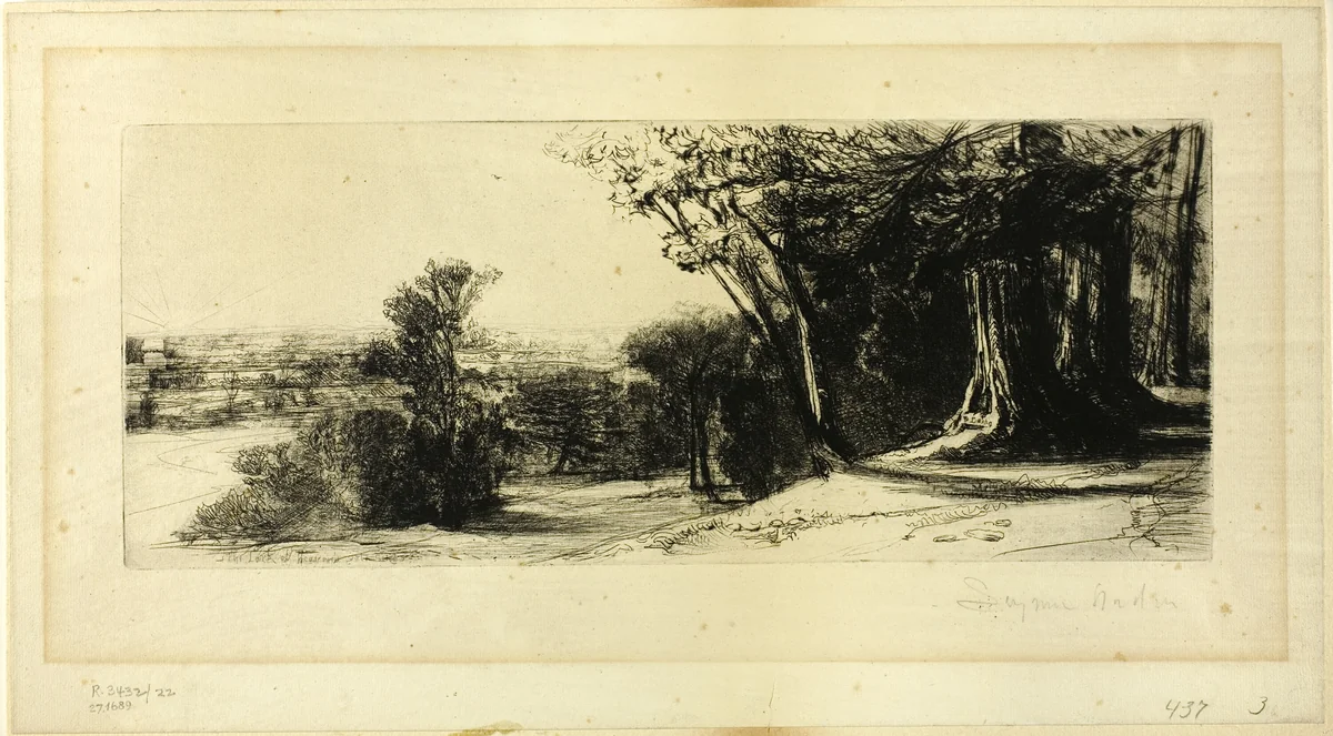 Early Morning, Richmond Park by Francis Seymour-Haden, print, 1859