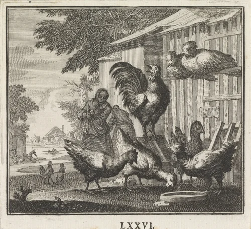 Embleem: Kip by Caspar Luyken, print, 1695-1705