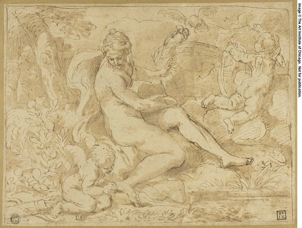 Study for the Origin of the Rose by Carlo Maratti
Pier Francesco Mola, drawing, 1627-1713