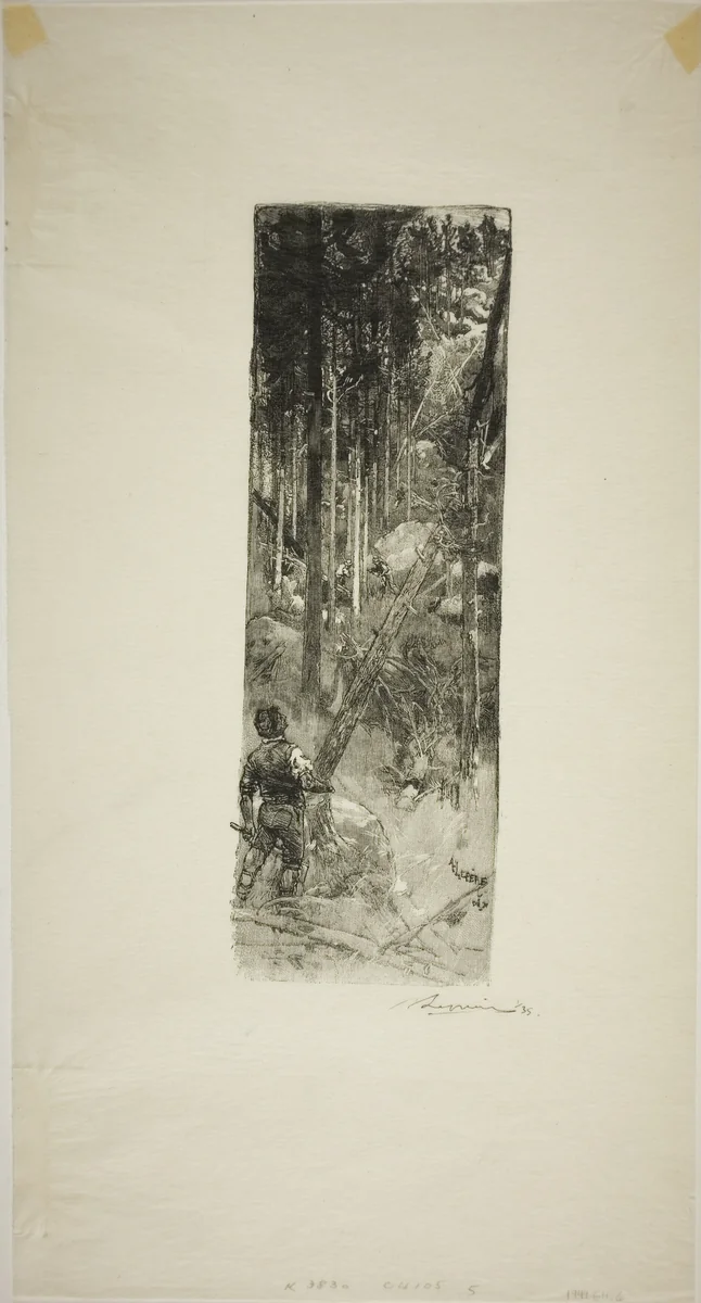 Falling Pines by Louis Auguste Lepère, print, 1908