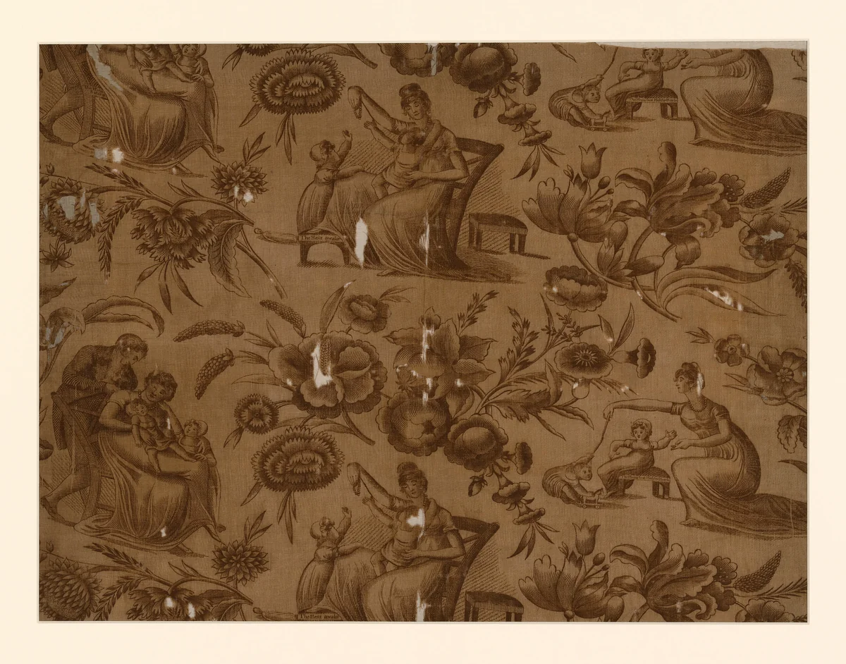 Panel (Furnishing Fabric) by Adam Buck, textile, 1801-1825