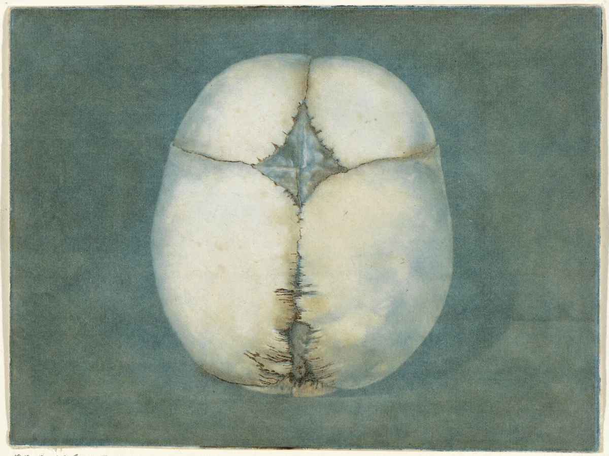 Prenten van het brein en het hart by Jan l' Admiral, print, 1733-1738