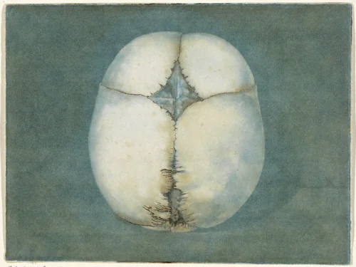 Prenten van het brein en het hart by Jan l' Admiral, print, 1733-1738