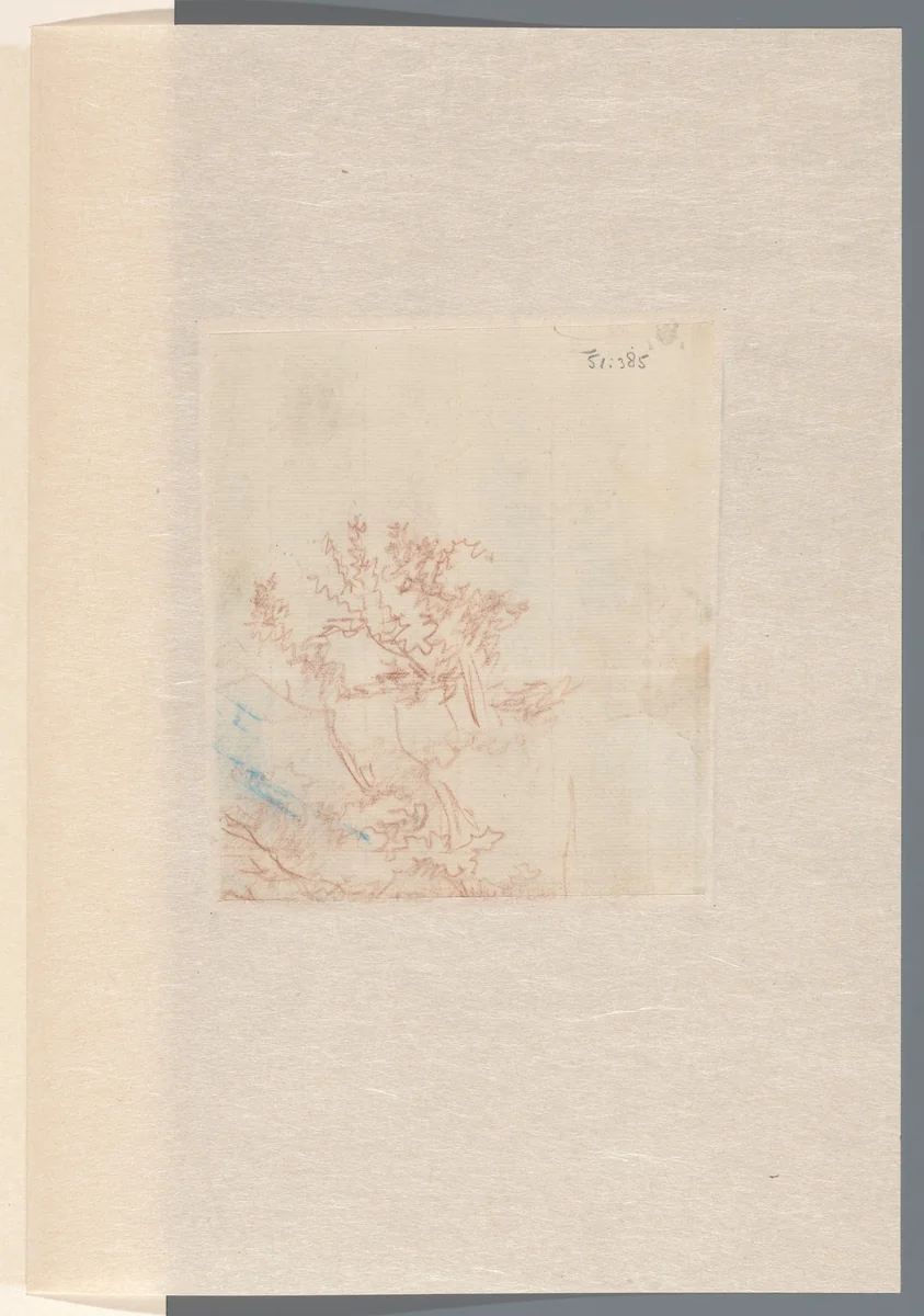 Schets van een boom by Pieter Bartholomeusz. Barbiers, drawing, 1782-1837