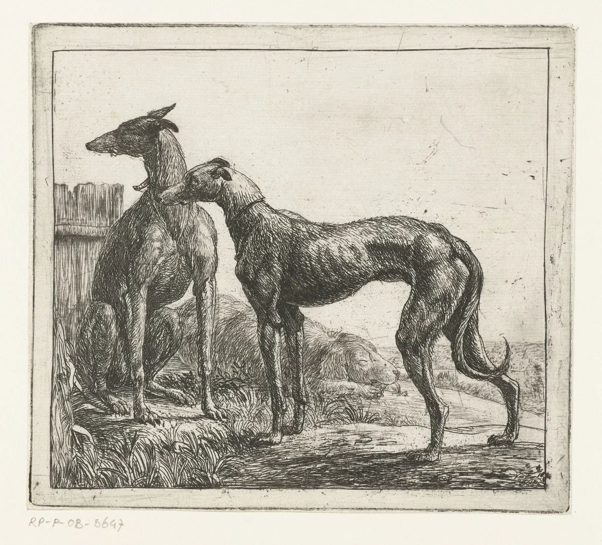 Twee hazewindhonden by Simon de Vlieger, print, 1610-1653