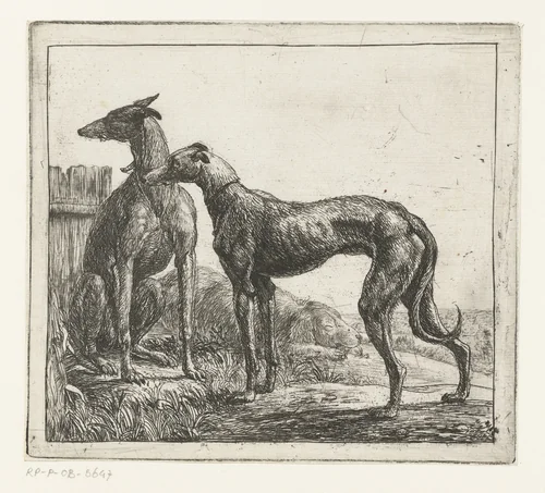 Twee hazewindhonden by Simon de Vlieger, print, 1610-1653