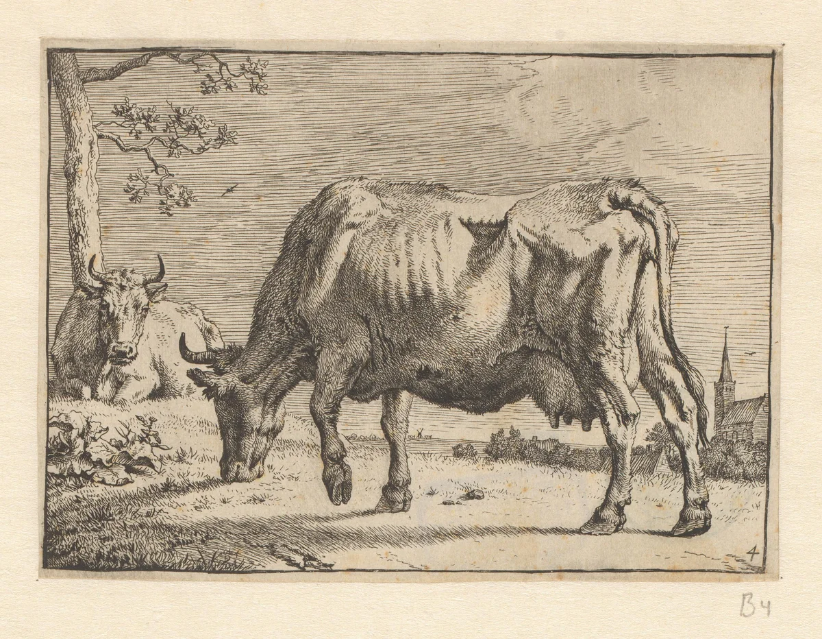 Grazende koe by Paulus Potter, print, 1650
