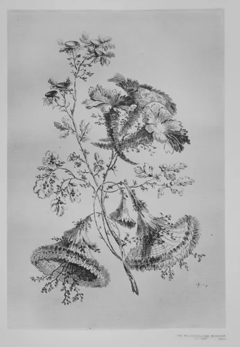 Plate, from "Fleures Baroques" by Jean Pillement, print, 1755