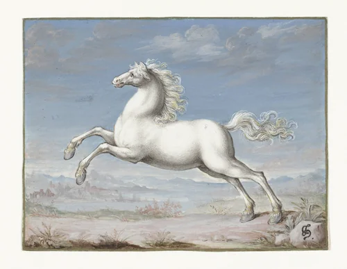 Wit paard by Joris Hoefnagel, drawing, 1552-1601