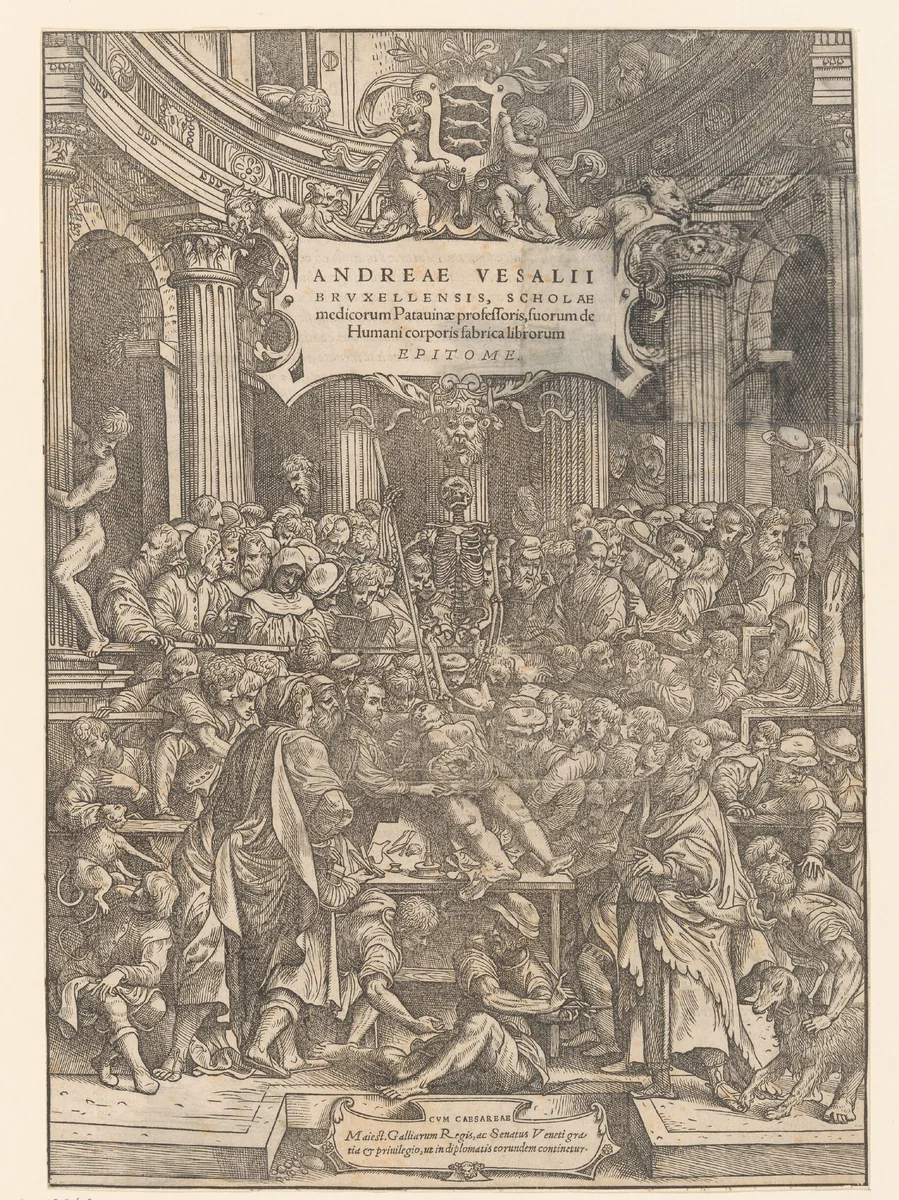 Anatomische les by anonymous, print, 1543