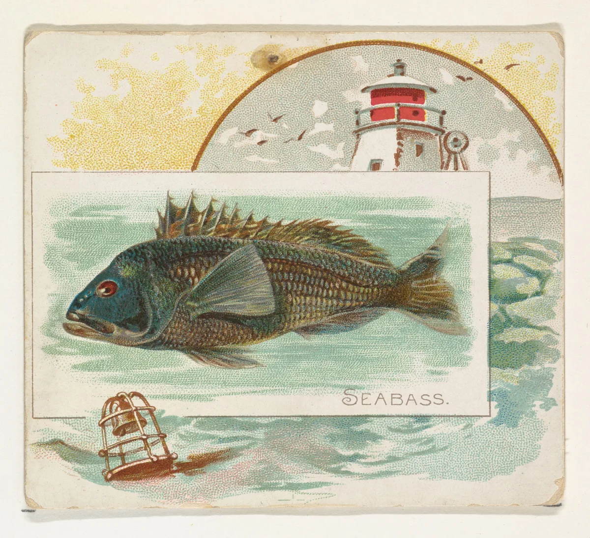 Sea Bass, from Fish from American Waters series (N39) for Allen & Ginter Cigarettes by Allen & Ginter, print, 1889